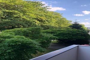 Babylon Apartments On Maidan 7 13