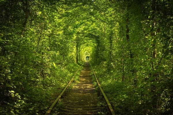 Tunnel of Love 9